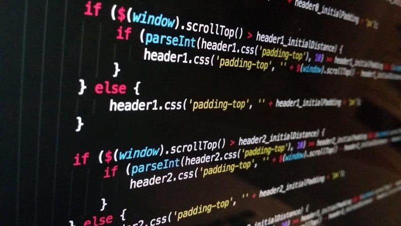 Video Game Developer